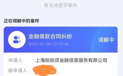 拍拍贷看负债率吗？