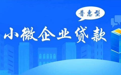 浙江理想小额贷款有限公司：助力小微企业发展，共创美好未来