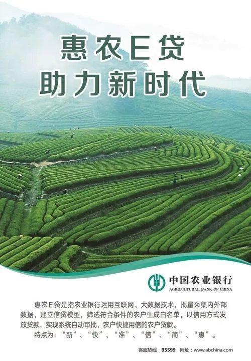 惠农小额贷款：助力乡村振兴的金融活水