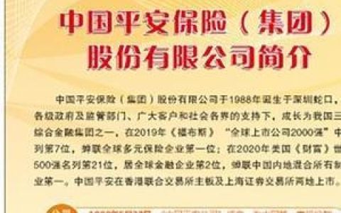 平安普惠投资小额贷款有限公司简介