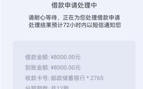 2024不看征信1000小额贷款：靠谱吗？有哪些需要注意？
