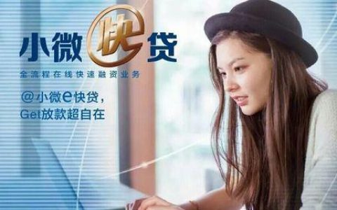 小微网贷：助力小微企业发展的新引擎