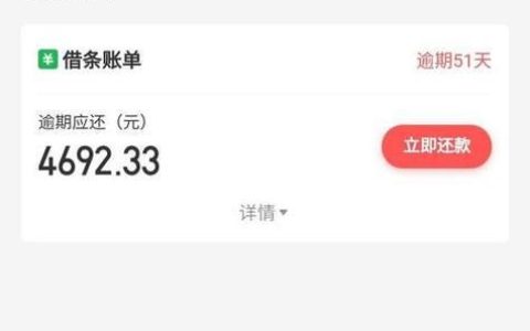 不看征信和大数据的网贷2024：靠谱吗？有哪些风险？