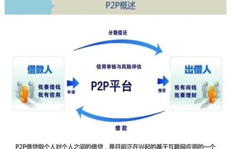P2P网上借贷平台：简介、运作方式及风险评估
