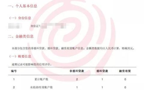 征信能看到网贷记录吗？全面解析网贷与征信的关系