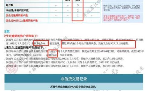 网贷每次借款都会查征信吗？全面解析网贷与征信的关系