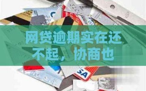 2024年网贷逾期：困境与应对之道