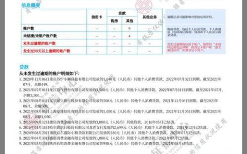 征信报告：贷款审批的“照妖镜”