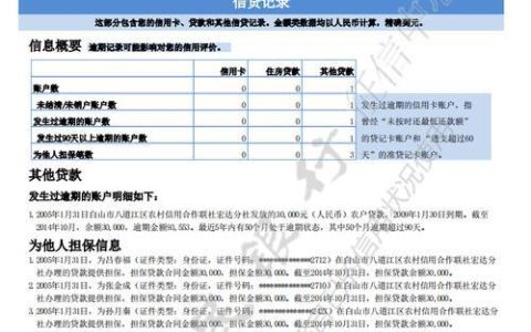 哪些贷款会上征信？全面解析征信报告上的贷款记录