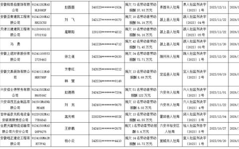 2024网黑、征信黑名单下如何贷款？困境中寻找一线生机