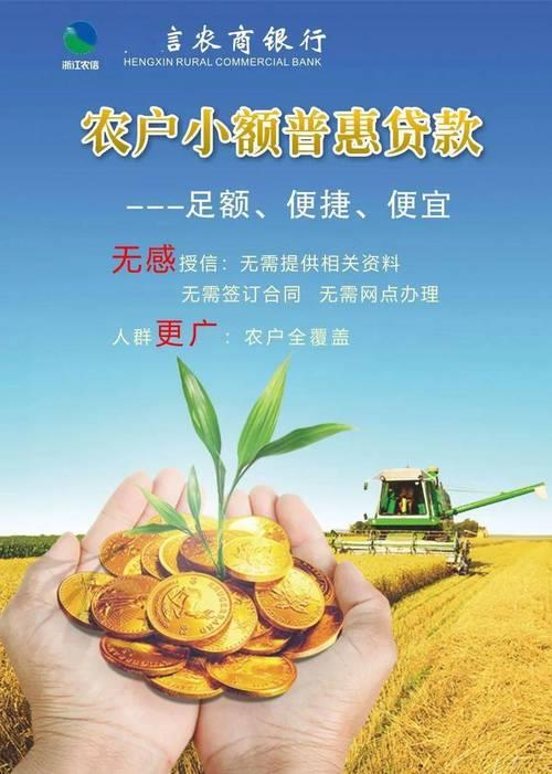 农村银行小额贷款：助力乡村振兴的金融活水