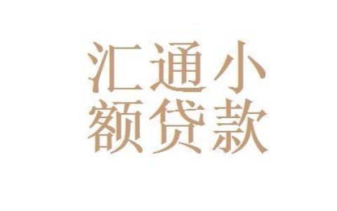汇通小额贷款：助您实现梦想的金融伙伴