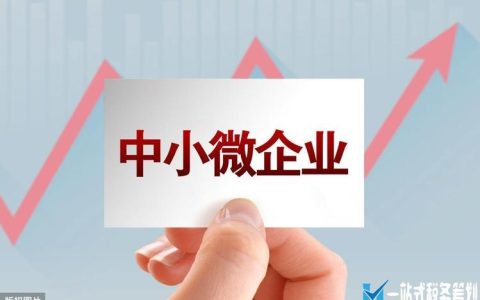 惠州市小额贷款公司：灵活融资，助力小微