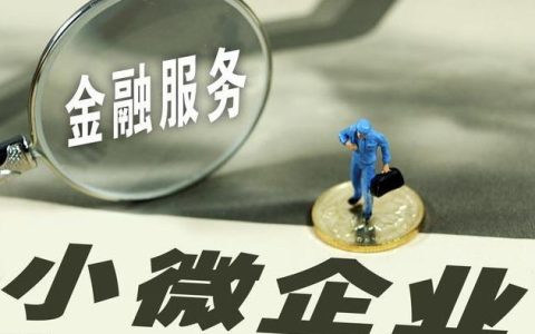 临沂小额贷款公司：助力小微企业与个体户的资金需求