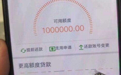 个人小额贷款额度： 灵活满足多样需求