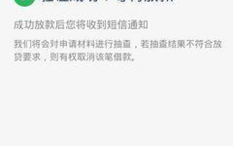 小额贷款公司放款额度限制：你需要知道的一切