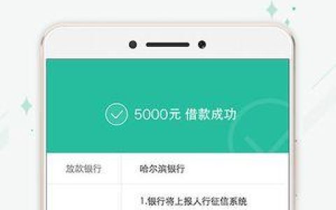 省呗借钱手续费详解：你必须知道的那些事