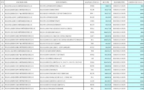 重庆小额贷款公司哪家好？最新推荐及避坑指南