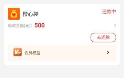 桔多多399先用后付下款成功实测！开通会员秒速放款经验分享2026