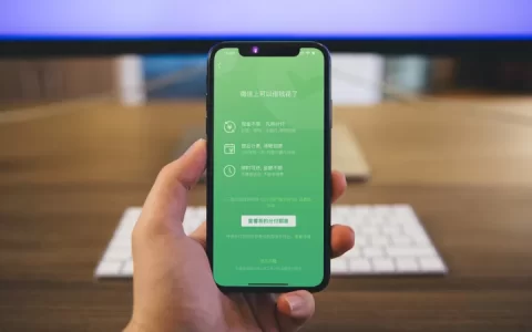 分付额度多久调整一次？真实用户经验告诉你怎么养才涨得快