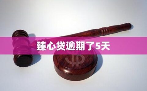 搜不到“臻心贷”独立APP？别瞎下，真相可能让你少踩坑