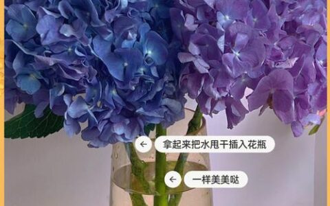 轻花优品下载靠谱吗？别急着下，先看看这些“坑”