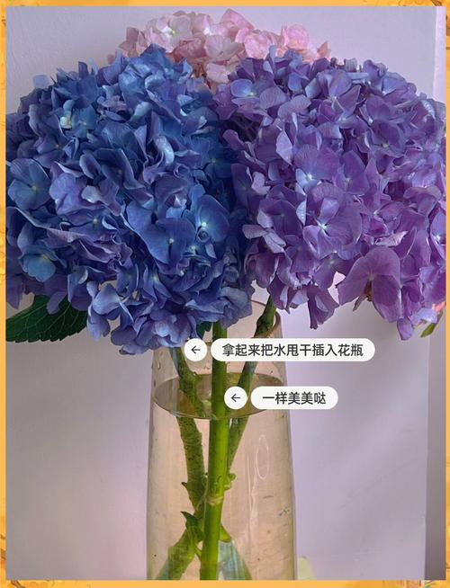 轻花优品下载靠谱吗？别急着下，先看看这些“坑”