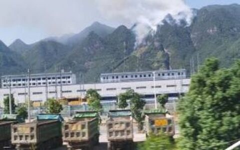 温州房产官网查不到？别急，这3个“野路子”比官网还快！