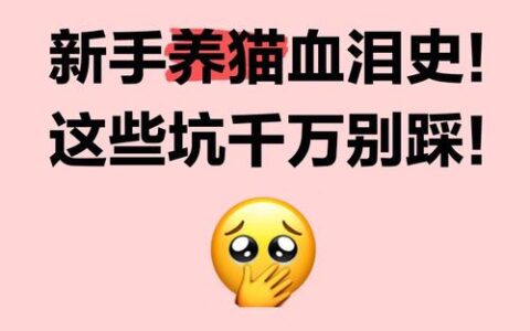 猫满花贷款靠谱吗？下载前这些坑千万别踩！