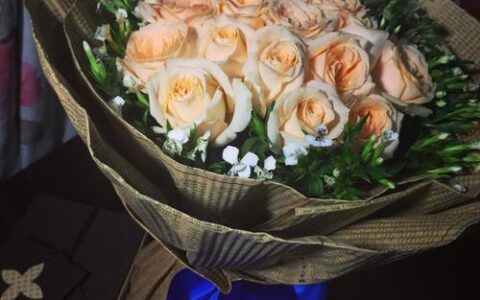 红豆钱包APP下载避坑指南：正版入口在哪？别被假链接割了韭菜！